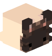 conahn
