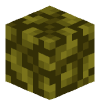 Голова Minecraft — Acacia Leaves