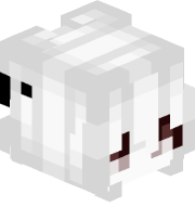 Ayoqwi