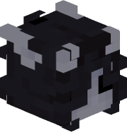q_xi