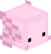 Dozy_YT