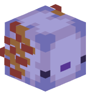 swazcer