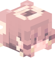 lecreepers