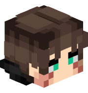 GINO_DD