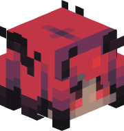 SuperDovid