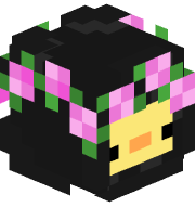 Dynx451