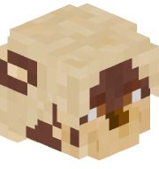 Kvaz_