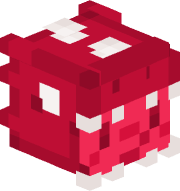 thezestytrex