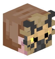 SquirrelSoup_'s head