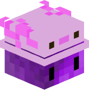 axo_5