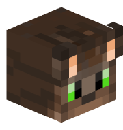 MiskoCat