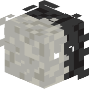 PaxCat123