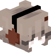 FOXTIZEN