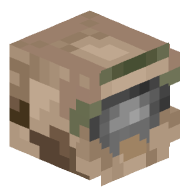 Cyberwez