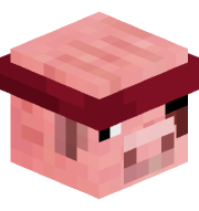 PiggyX4