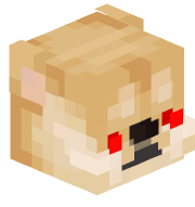 DogeGuy248