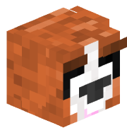 netbear