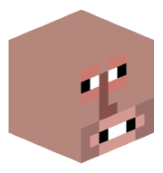 Mcrafter2020