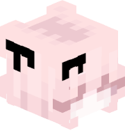 Z_Profi