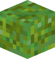 flipjumping666
