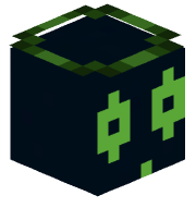 wizjer