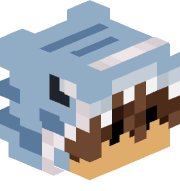RTPLAYZZ