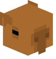 CapyAddon