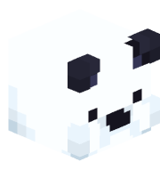 CaydenThabot