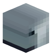 vieews