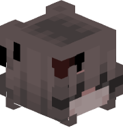 Redyz_1