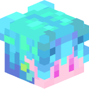 xenon13129