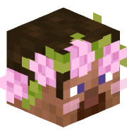 _uwh