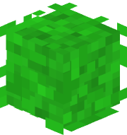 loki_the_bush