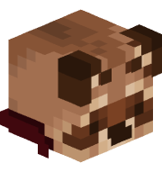 Rookraccon