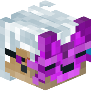 TheBlindedOutFox