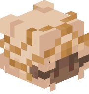 thecommeenntt