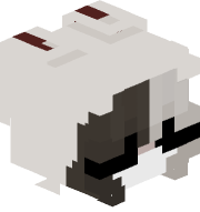 zidal55