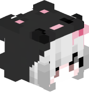WazinDash