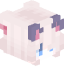 EndiShark