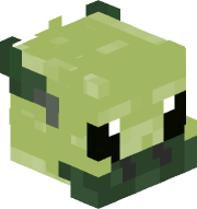 TheDrag0nTurtle