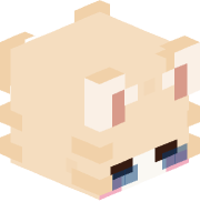 Invinnycible