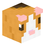 CocoaCapybara