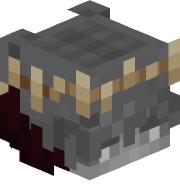 C0PIE