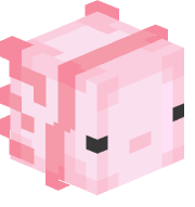 JORGITOWMC