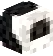 DG
