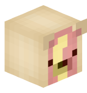 primrose0_