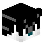Navn_los