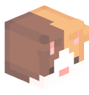 ArdayraLL