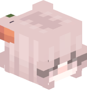 jasperbuzz