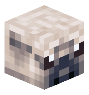 ToeKazooi